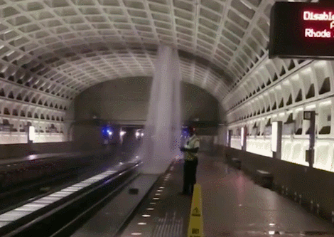 白宮都漏水了，你還能不重視防水！